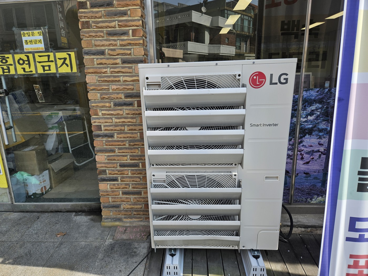 전주 편백나무밑에서노는닭